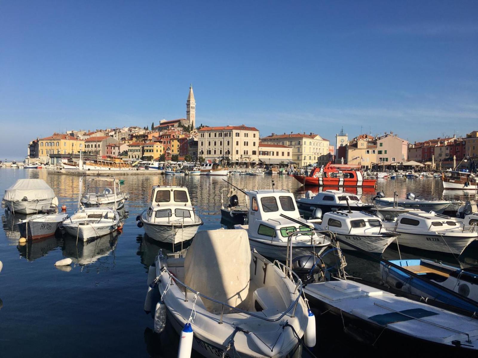 Apartments Ivo Rovinj Croatia エクステリア 写真